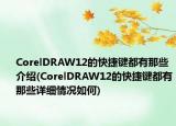 CorelDRAW12的快捷键都有那些介绍(CorelDRAW12的快捷键都有那些详细情况如何)