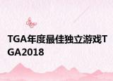 TGA年度最佳独立游戏TGA2018