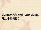 北京邮电大学苏欣（胡欣 北京邮电大学副教授）