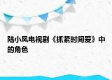 陆小凤电视剧《抓紧时间爱》中的角色