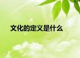 文化的定义是什么