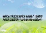 被称为打孔巨匠的海洋生物是介绍(被称为打孔巨匠的海洋生物是详细情况如何)