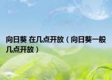 向日葵 在几点开放（向日葵一般几点开放）