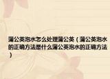 蒲公英泡水怎么处理蒲公英（蒲公英泡水的正确方法是什么蒲公英泡水的正确方法）