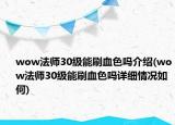 wow法师30级能刷血色吗介绍(wow法师30级能刷血色吗详细情况如何)