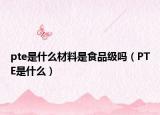 pte是什么材料是食品级吗（PTE是什么）