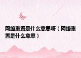 网络重置是什么意思呀（网络重置是什么意思）