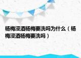 杨梅浸酒杨梅要洗吗为什么（杨梅浸酒杨梅要洗吗）