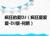 疯狂的爱DJ（疯狂爱爱爱-DJ版-何鹏）