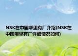 NSK在中国哪里有厂介绍(NSK在中国哪里有厂详细情况如何)