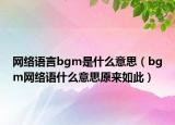网络语言bgm是什么意思（bgm网络语什么意思原来如此）
