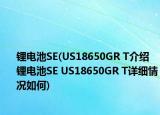 锂电池SE(US18650GR T介绍 锂电池SE US18650GR T详细情况如何)