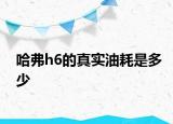 哈弗h6的真实油耗是多少