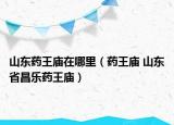 山东药王庙在哪里（药王庙 山东省昌乐药王庙）