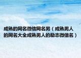 成熟的网名微信网名男（成熟男人的网名大全成熟男人的励志微信名）
