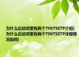 为什么启动项里有两个TINTSETP介绍(为什么启动项里有两个TINTSETP详细情况如何)