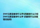 DNF元素装备穿什么甲(武器用什么介绍 DNF元素装备穿什么甲 武器用什么详细情况如何)