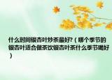 什么时间银杏叶炒茶最好?（哪个季节的银杏叶适合做茶饮银杏叶茶什么季节喝好）