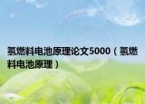 氢燃料电池原理论文5000（氢燃料电池原理）