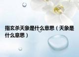 指玄杀天象是什么意思（天象是什么意思）