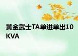 黄金武士TA单进单出10KVA