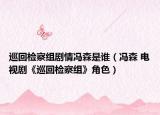 巡回检察组剧情冯森是谁（冯森 电视剧《巡回检察组》角色）