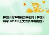护国大将军电视剧央视网（护国大将军 2011年王文杰执导电视剧）