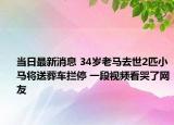 当日最新消息 34岁老马去世2匹小马将送葬车拦停 一段视频看哭了网友