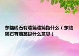 东临碣石有遗篇遗篇指什么（东临碣石有遗篇是什么意思）