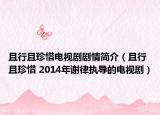 且行且珍惜电视剧剧情简介（且行且珍惜 2014年谢律执导的电视剧）