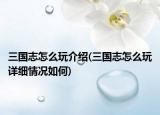 三国志怎么玩介绍(三国志怎么玩详细情况如何)