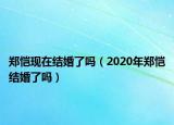 郑恺现在结婚了吗（2020年郑恺结婚了吗）