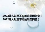 2022让人过目不忘的唯美网名女（2022让人过目不忘的唯美网名）