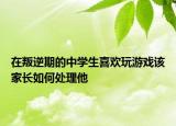 在叛逆期的中学生喜欢玩游戏该家长如何处理他