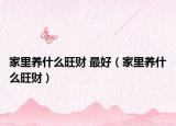 家里养什么旺财 最好（家里养什么旺财）