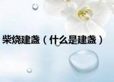 柴烧建盏（什么是建盏）