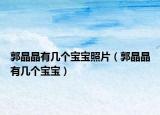 郭晶晶有几个宝宝照片（郭晶晶有几个宝宝）