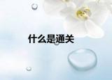 什么是通关