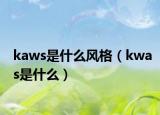 kaws是什么风格（kwas是什么）
