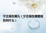 宁古塔在哪儿（宁古塔在哪里现在叫什么）