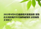 2022年9月02日最新相关报道消息 宠物店主回应离开半月猫狗被饿死 这些猫狗太可怜了