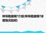 蚌埠租房网?介绍(蚌埠租房网?详细情况如何)