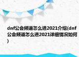 dnf公会频道怎么进2021介绍(dnf公会频道怎么进2021详细情况如何)