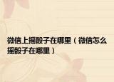 微信上摇骰子在哪里（微信怎么摇骰子在哪里）