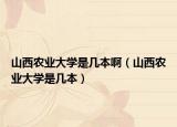 山西农业大学是几本啊（山西农业大学是几本）