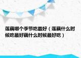 莲藕哪个季节吃最好（莲藕什么时候吃最好藕什么时候最好吃）