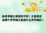 秋冬季喝大麦茶好不好（大麦茶适合哪个季节喝大麦茶什么季节喝好）