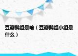豆瓣鹅组是啥（豆瓣鹅组小组是什么）