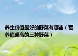 养生价值最好的野菜有哪些（营养值颇高的三种野菜）