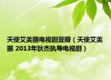 天使艾美丽电视剧豆瓣（天使艾美丽 2013年狄杰执导电视剧）